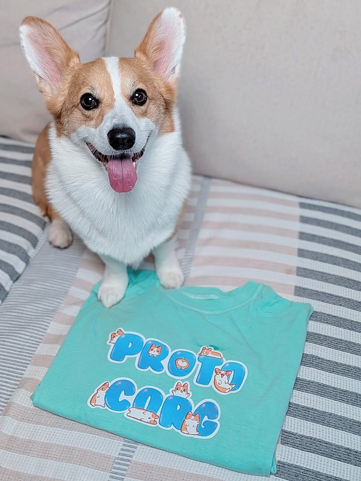 Cozy Corgi Tee product image (1)