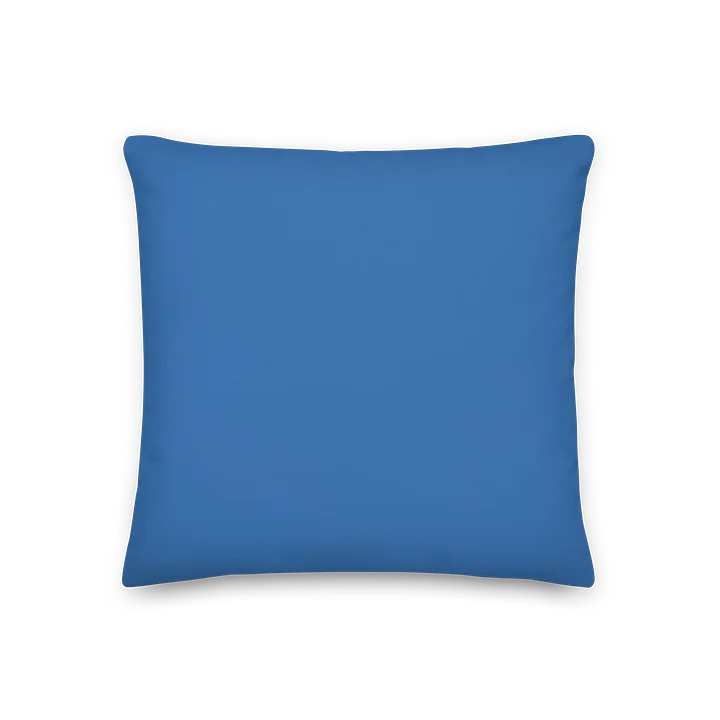 BVA Pillow product image (2)