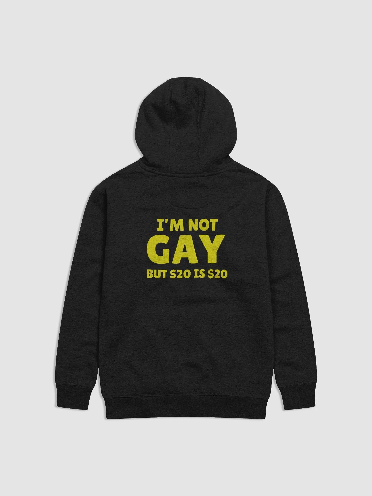 Not Gay But $20 is $20 Back Print Hoodie product image (1)