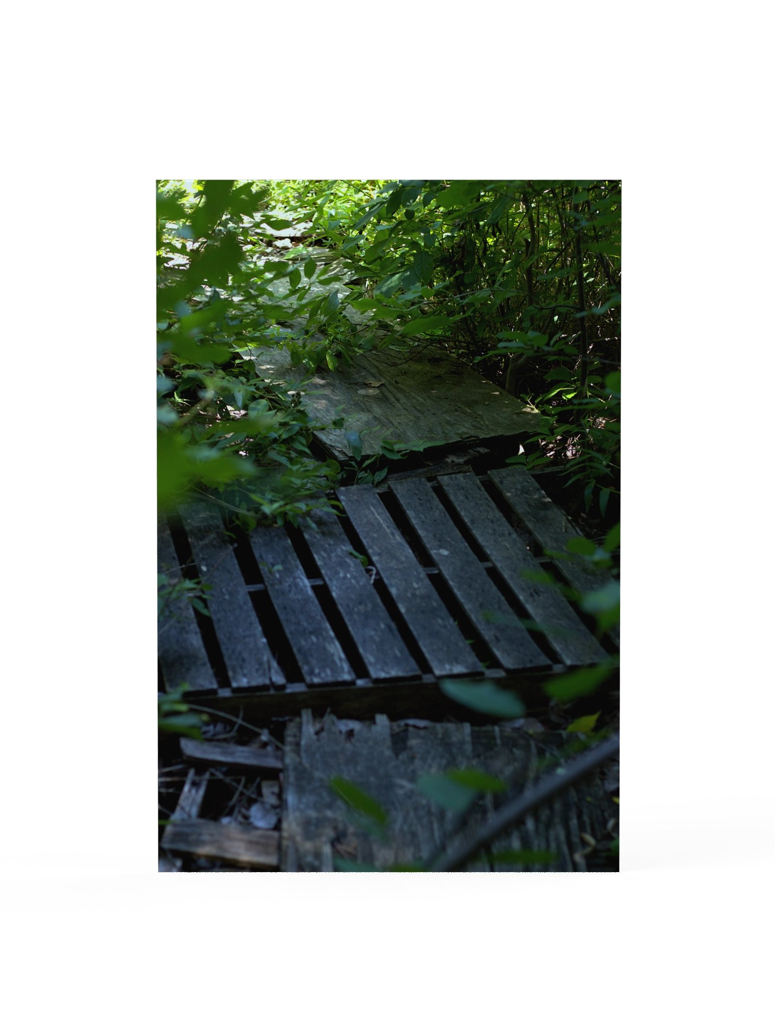 plank product image (1)