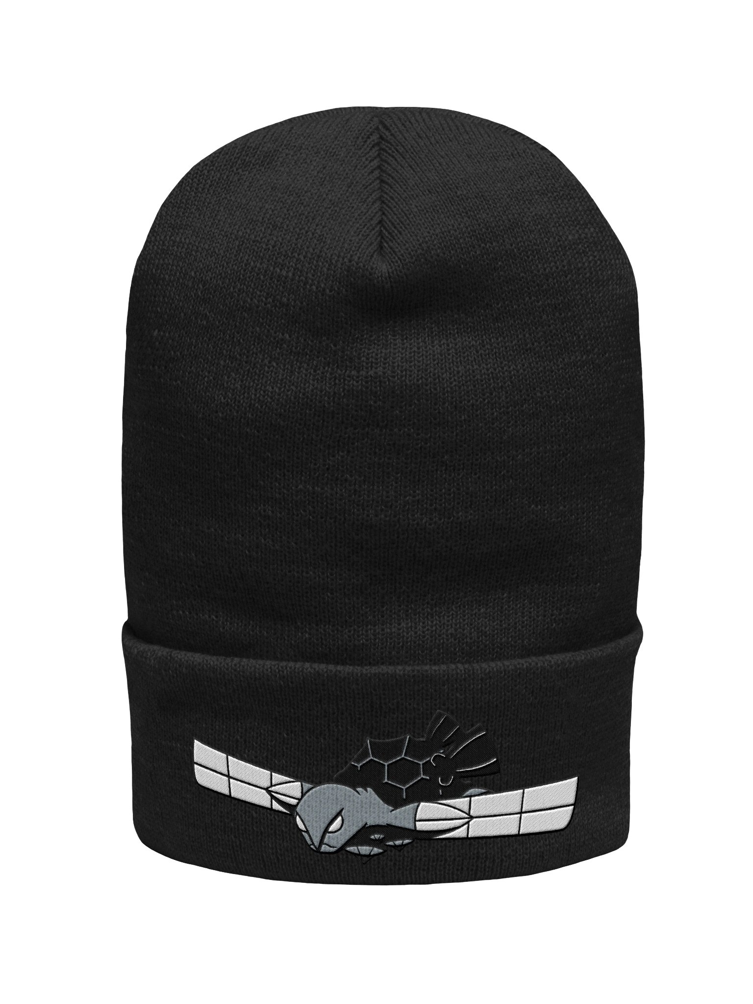 Beanie product image (1)