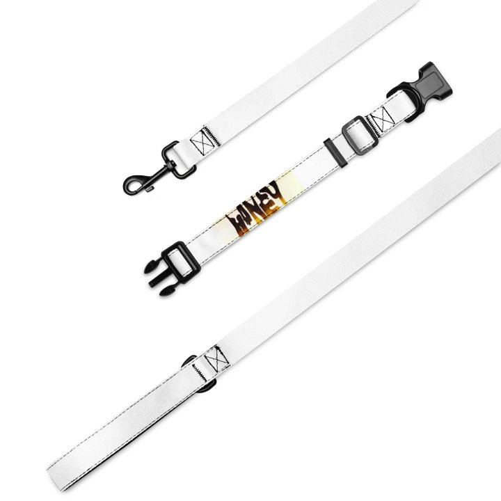 Honey (Pet Collar & Leash) product image (2)