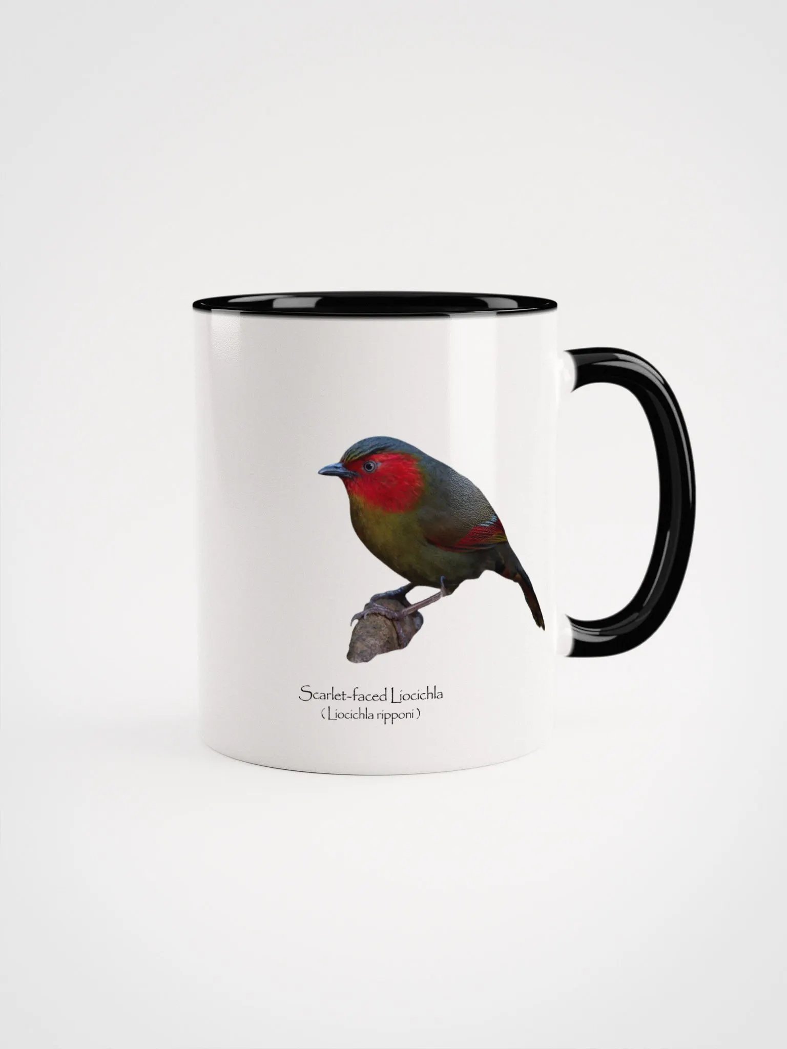 Scarlet-faced Liocichla mug product image (2)