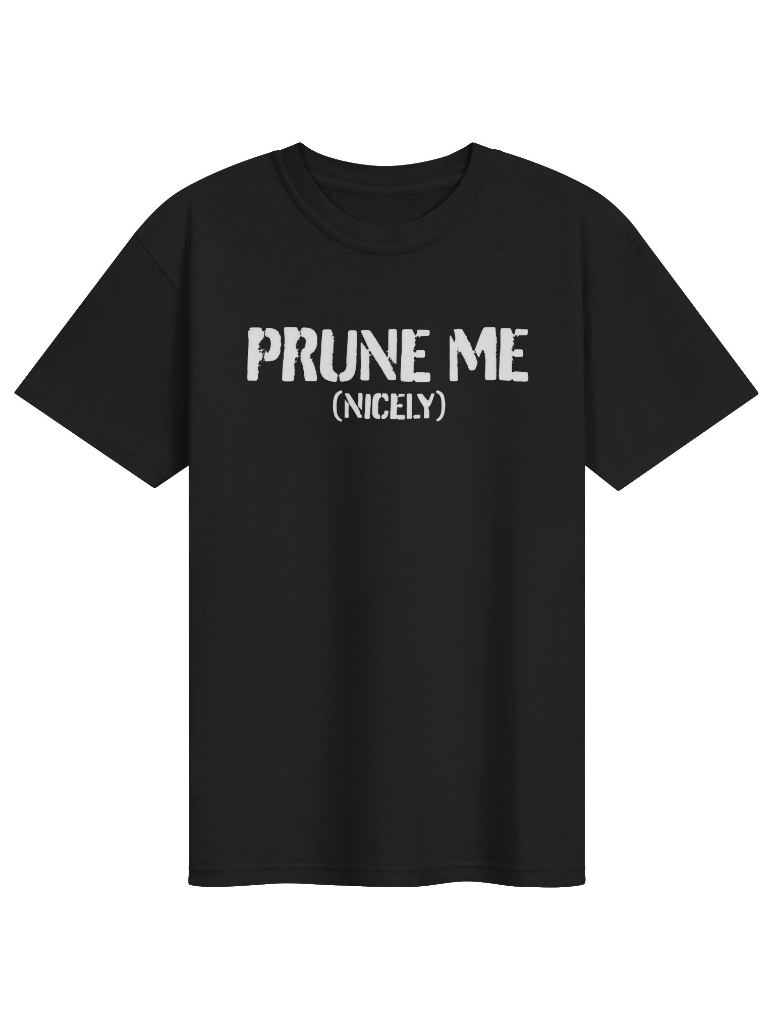 Prune Me (Nicely) Stencil Tee product image (15)