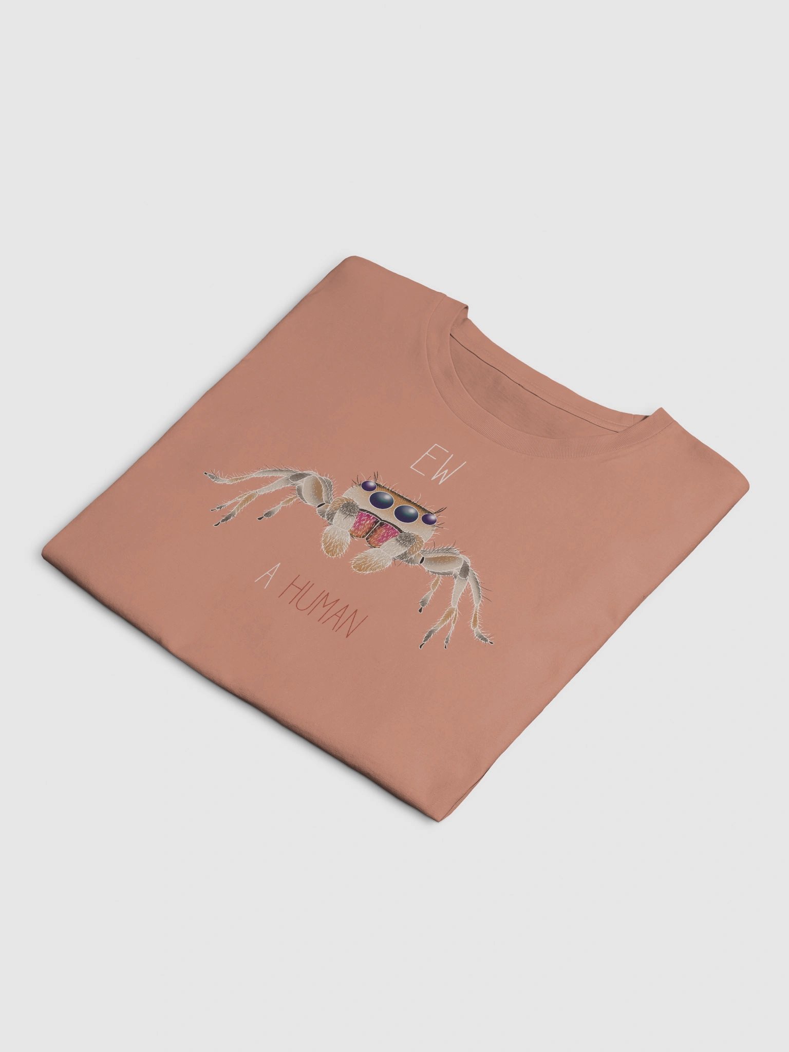 EW A HUMAN Crop Tee product image (12)