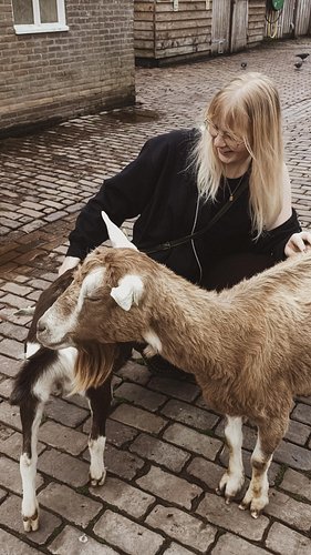 Goat fun fact: they have a richer emotional life than we realize! Goats are intelligent creatures and use this social phenome...
