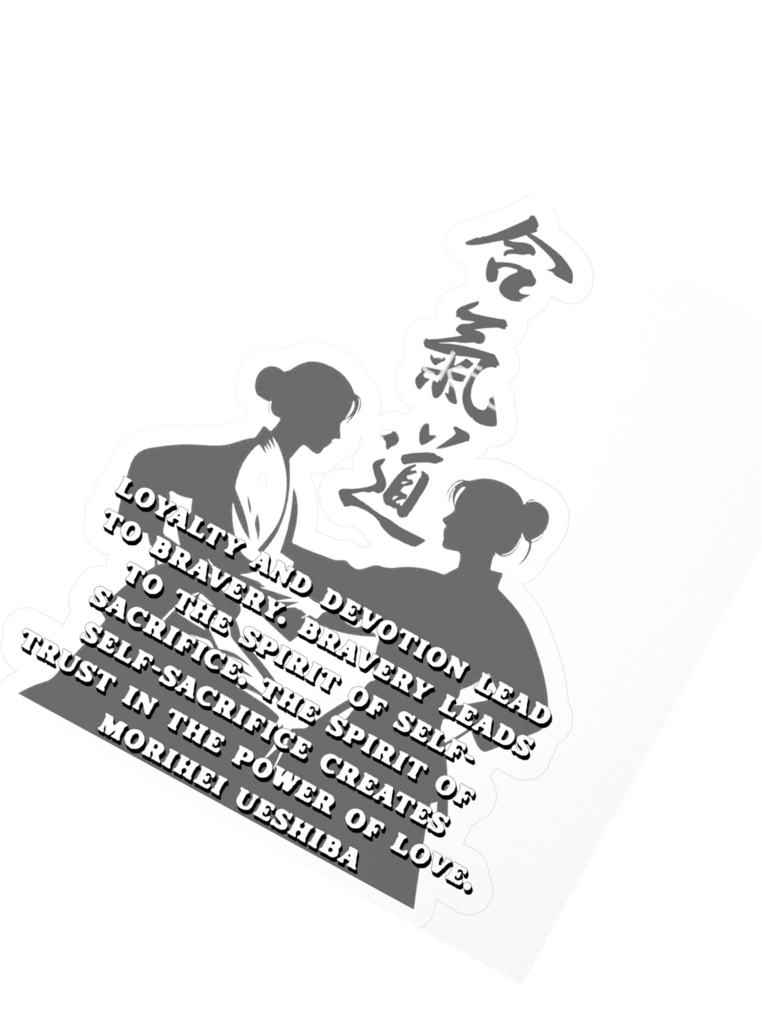 Aikido product image (2)