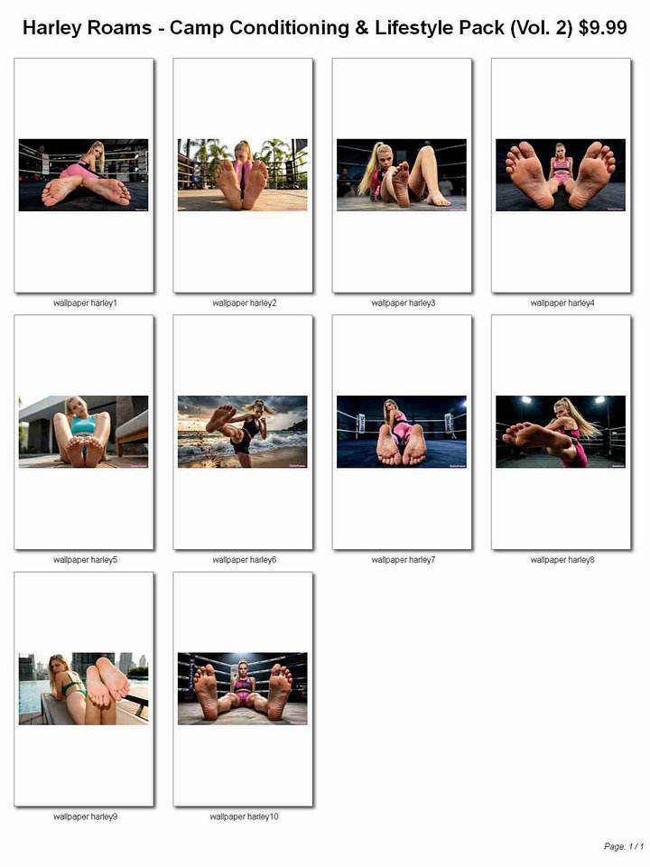 Harley Roams - Camp Conditioning & Lifestyle Widescreen Wallpaper Pack (Vol. 2) product image (1)