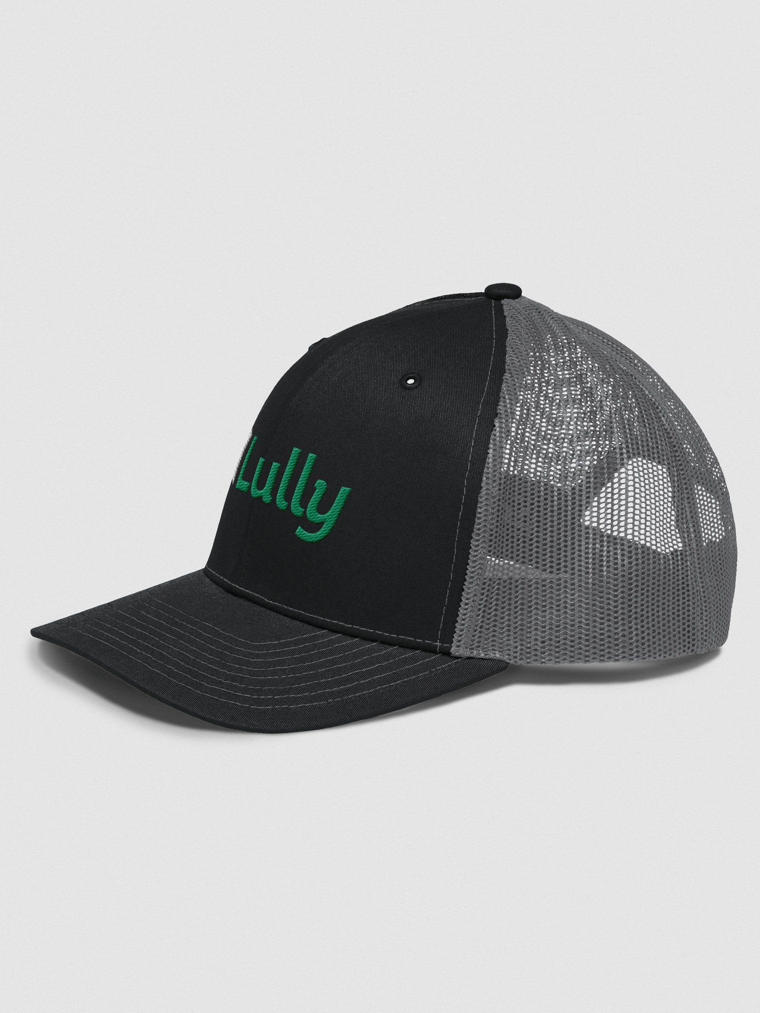 Snap Back Truck Hat product image (2)