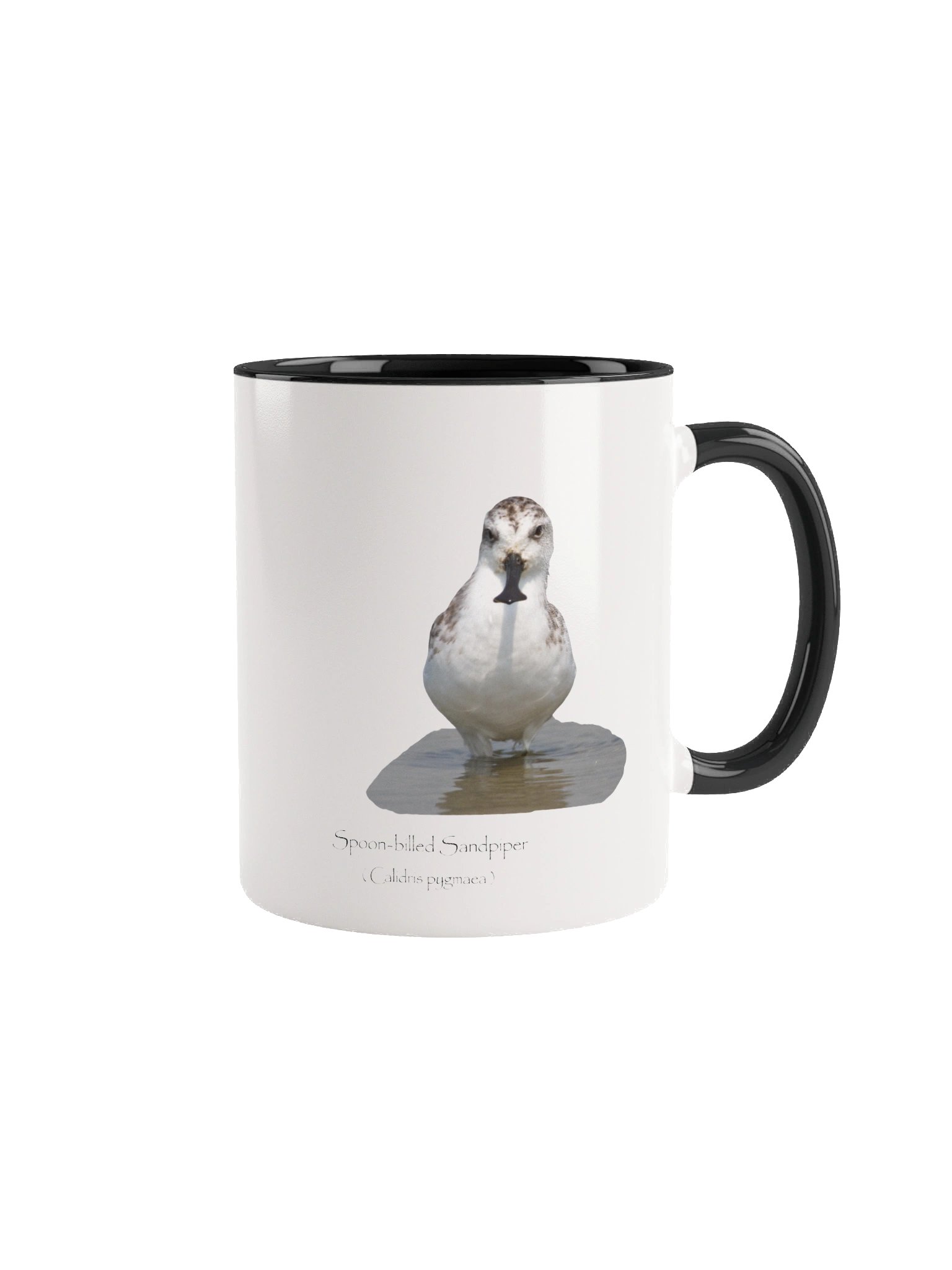 Spoon-billed Sandpiper product image (8)