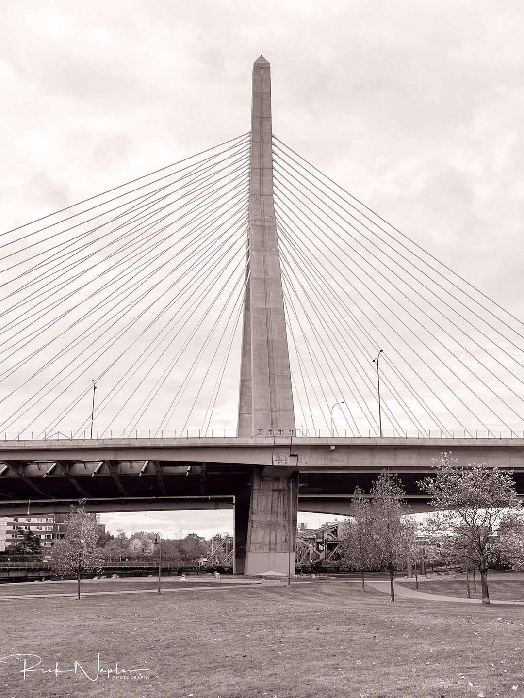 BLACK AND WHITE PHOTOGRAPHY product image (8)