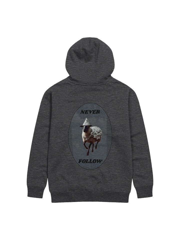 Webs & Shadows Black Sheep Hoodie product image (2)