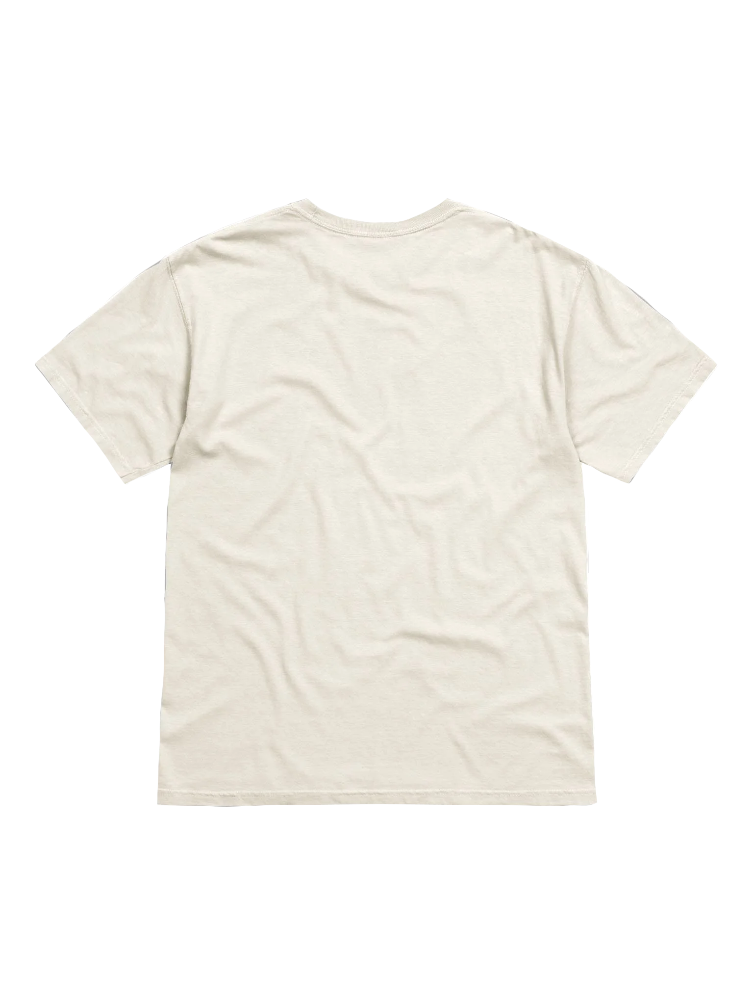 Epic NPC Man T-shirt product image (4)