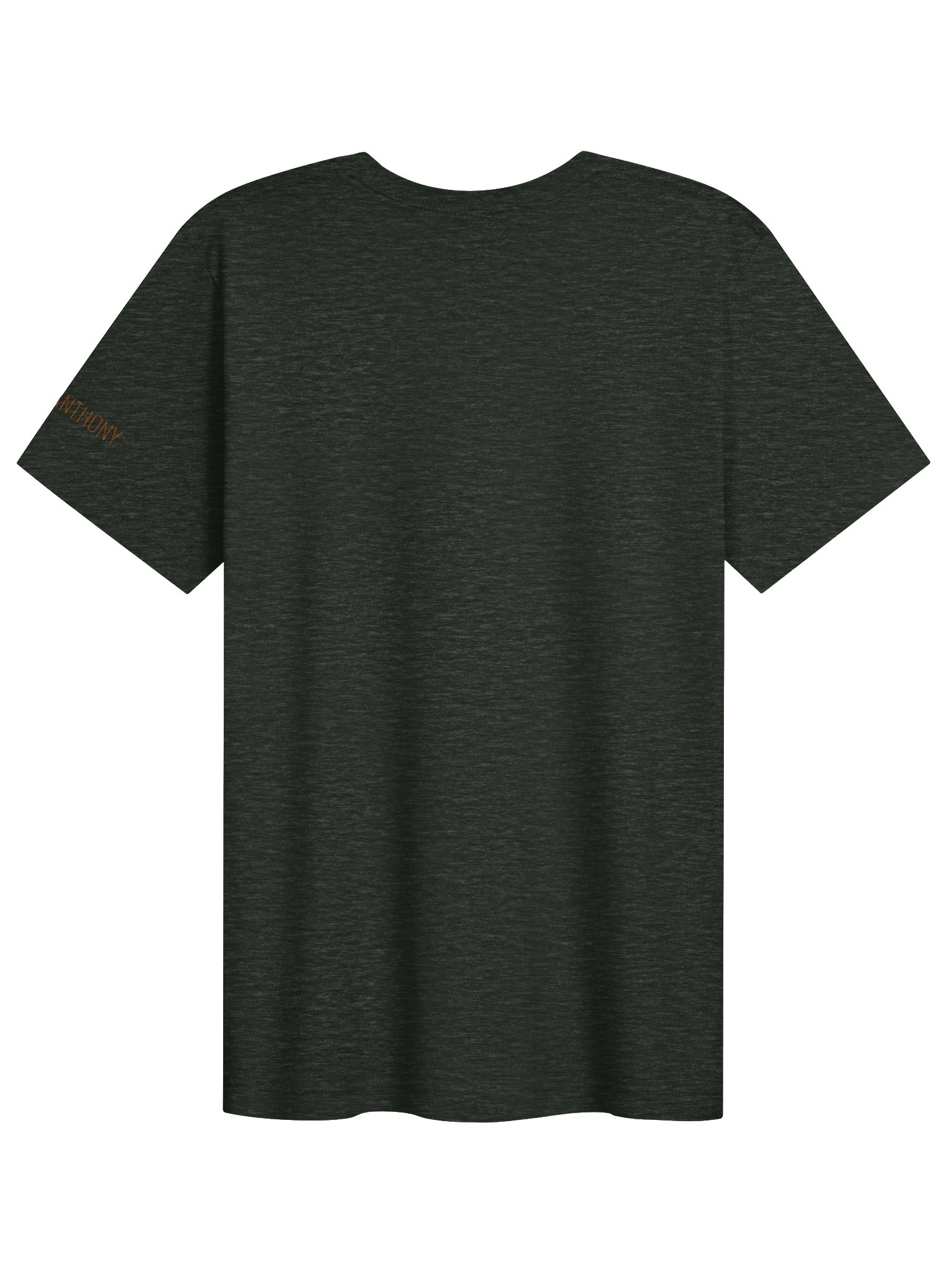 BUCK NORRIS CLASSIC LOGO 2 TEE product image (65)