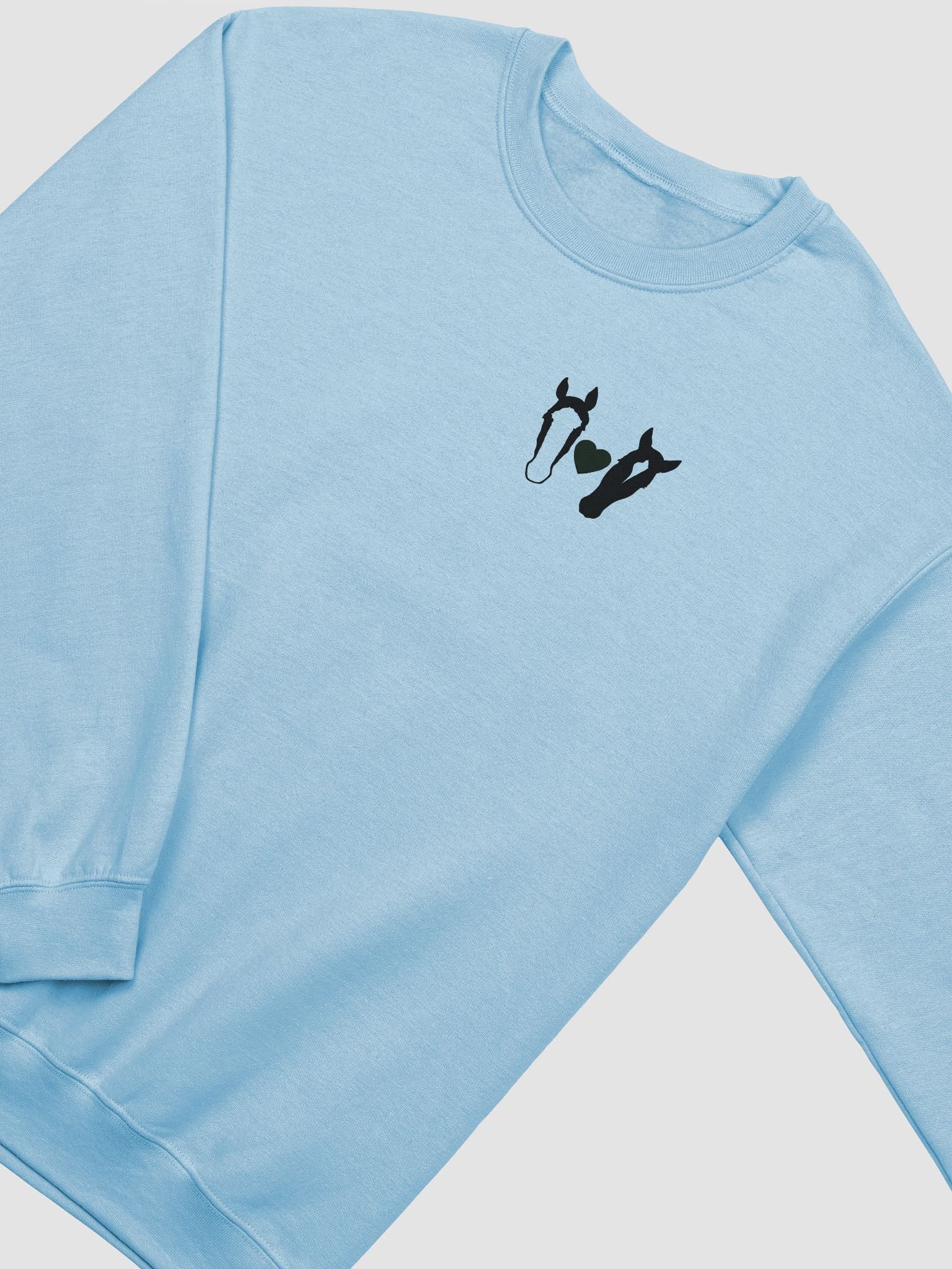 Follow Us Crewneck Sweatshirt, light colors product image (3)