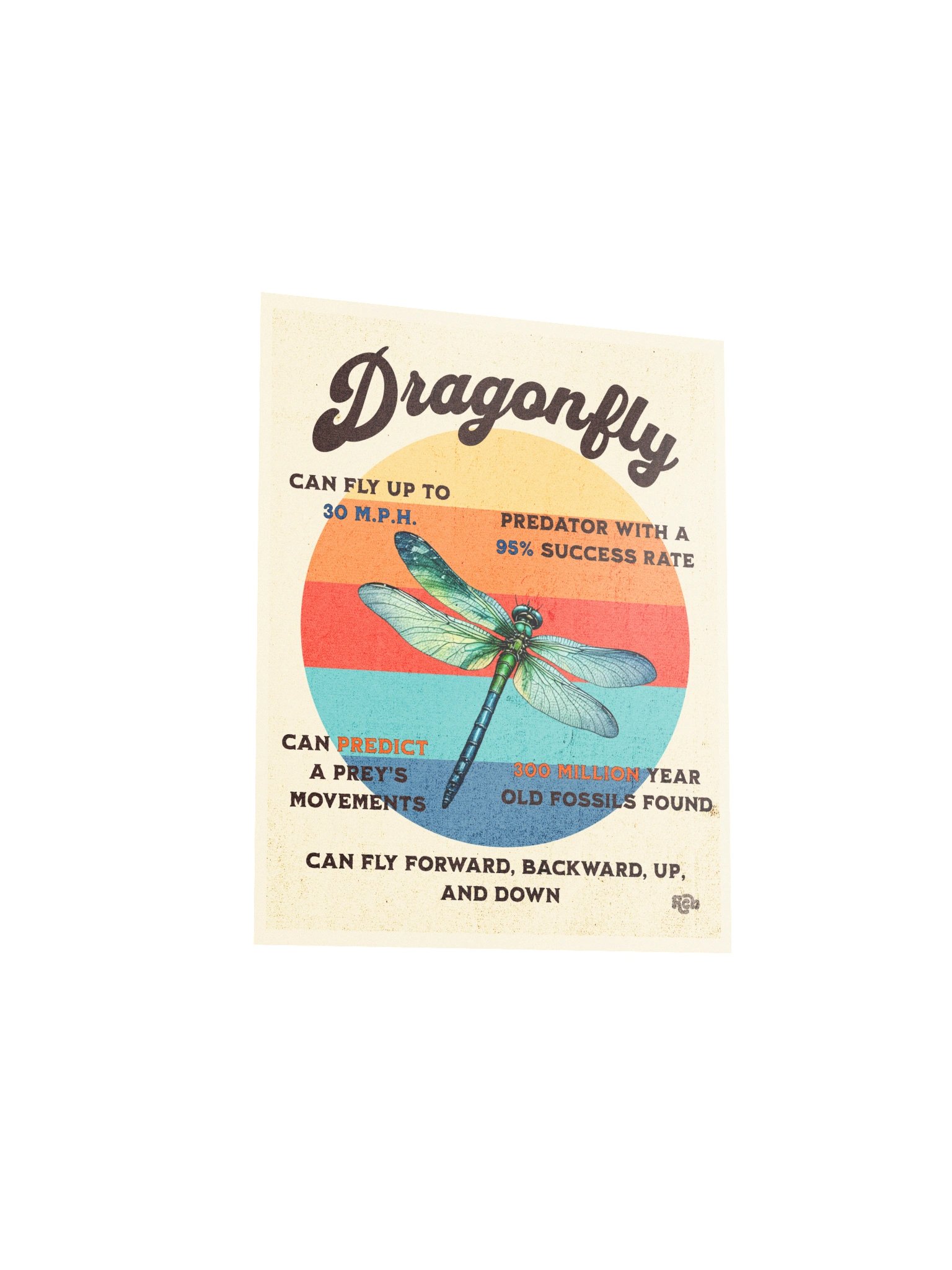Dragonfly Retro Sun Poster product image (5)