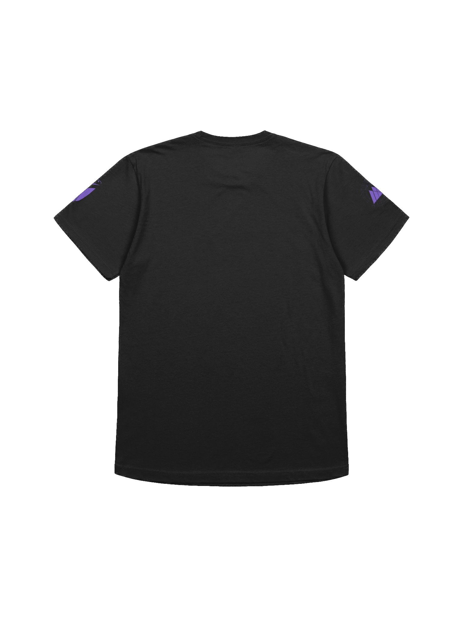 Raven Division Warlock Tee product image (4)