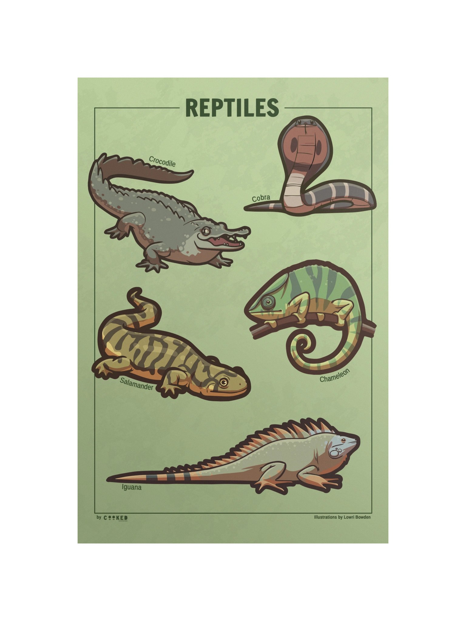 Reptiles Poster - 5 Illustrated Reptiles - Original Illustrated Poster product image (1)