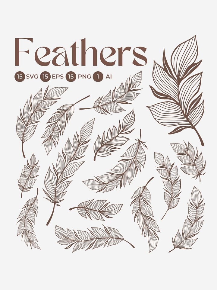 Elegant Line Art Feathers Collection product image (1)