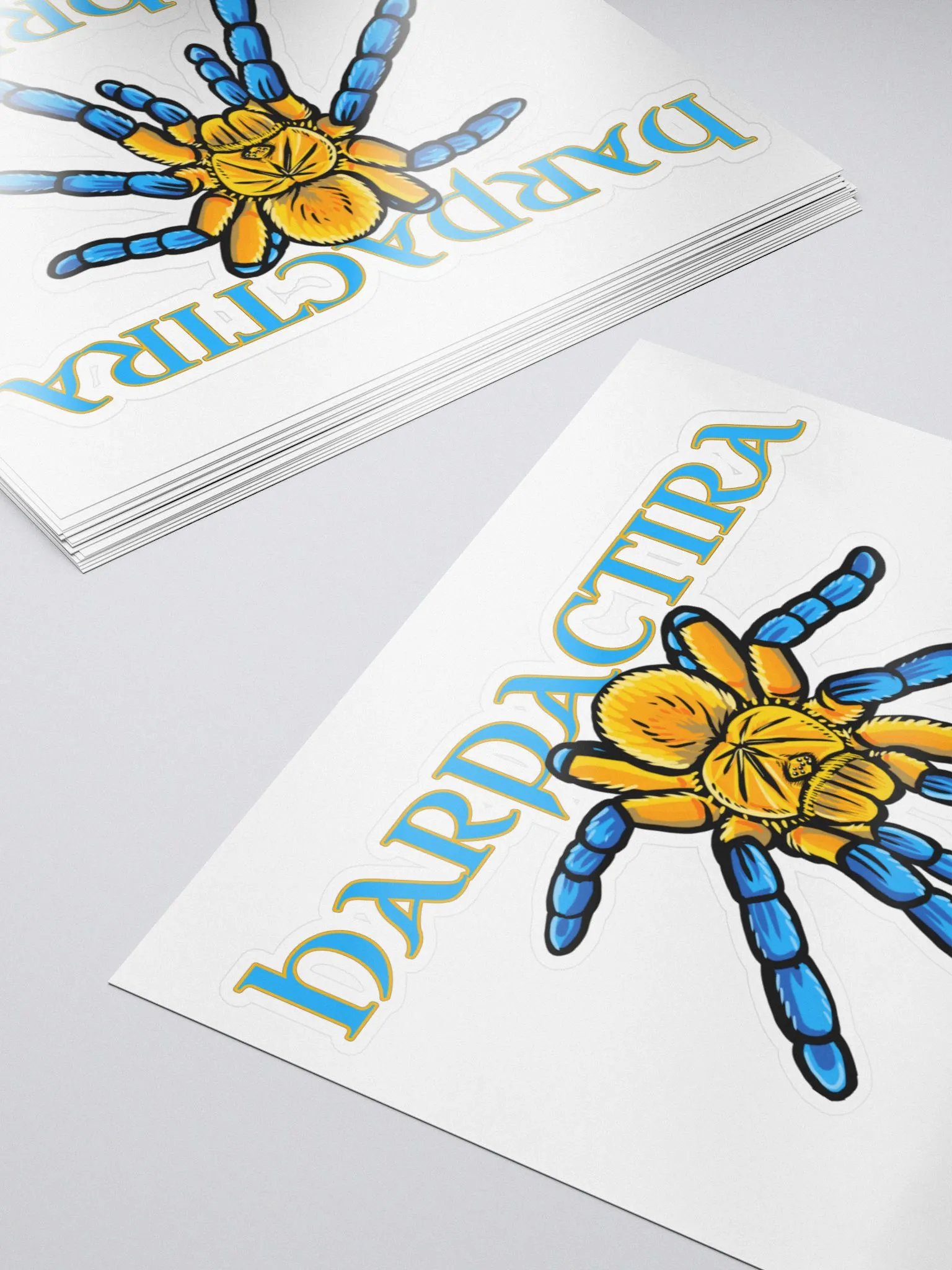 Golden Blue Leg Baboon (Harpactira Pulchripes) Sticker product image (5)