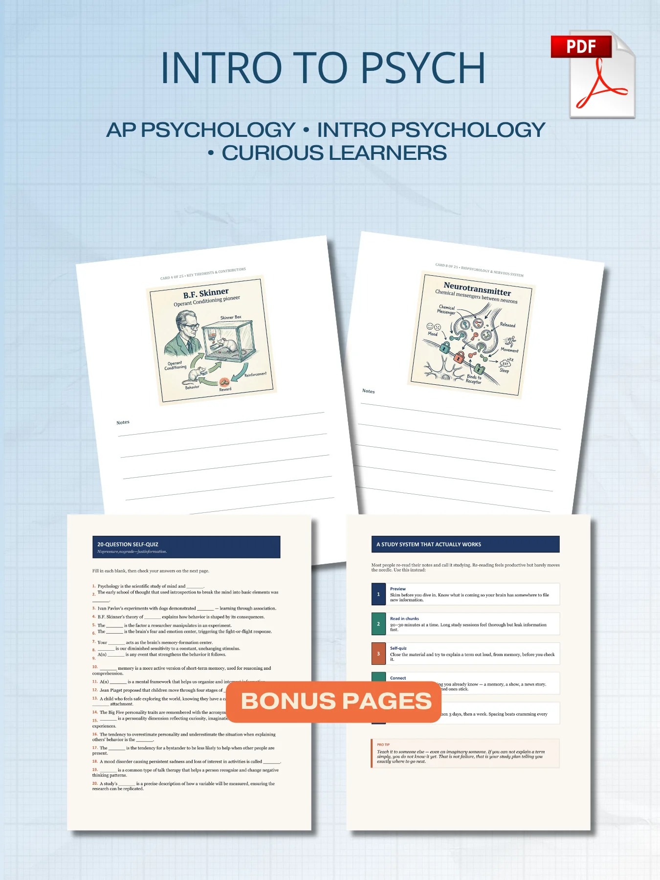 25 Psychology Terms You Should Know | Free Illustrated PDF Study Guide product image (3)