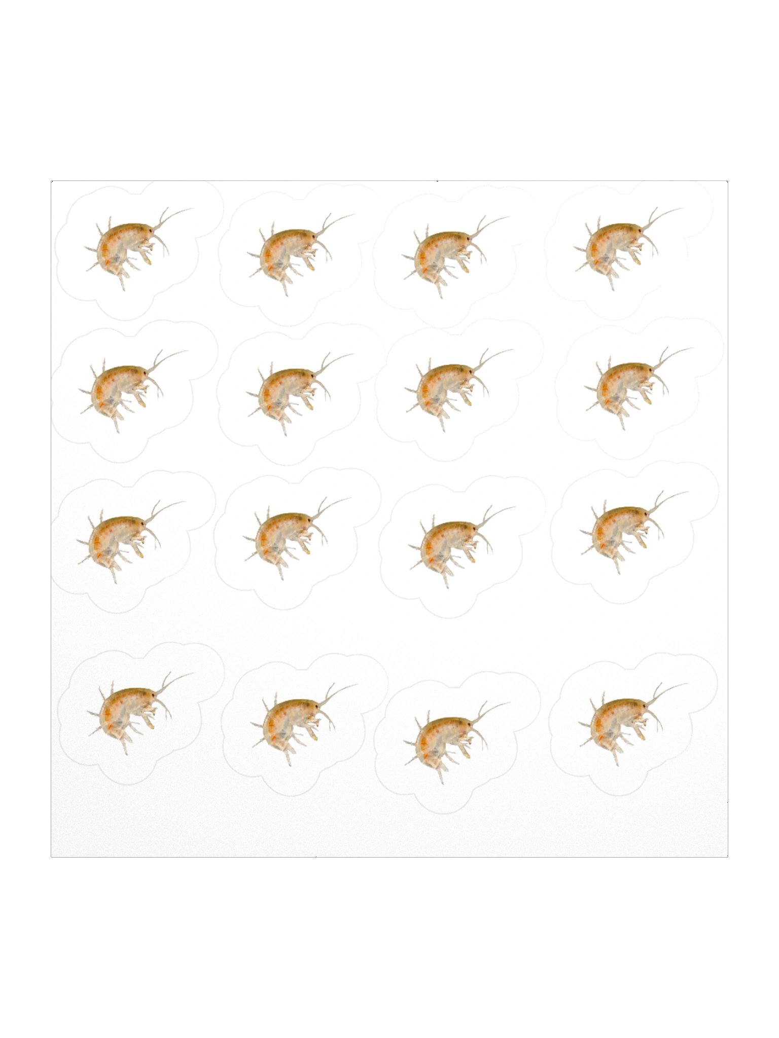 15-20 scruds product image (1)