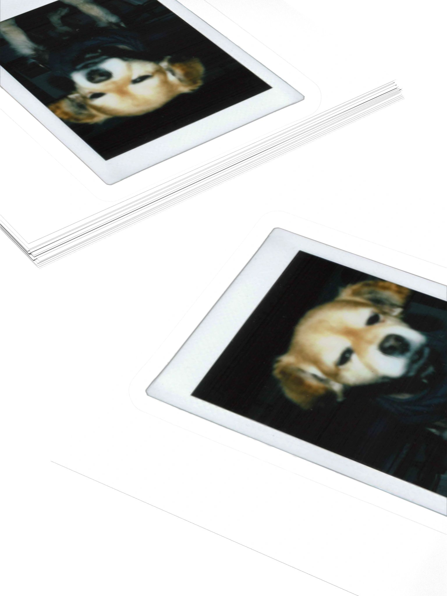 Polaroid E Sticker product image (4)