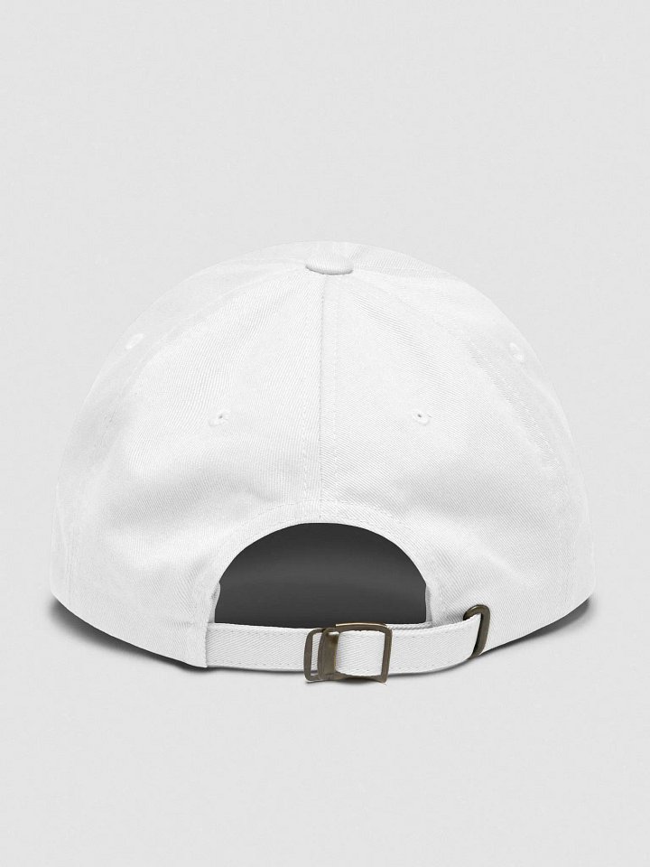 Sugar Is Gross Dad Hat product image (7)