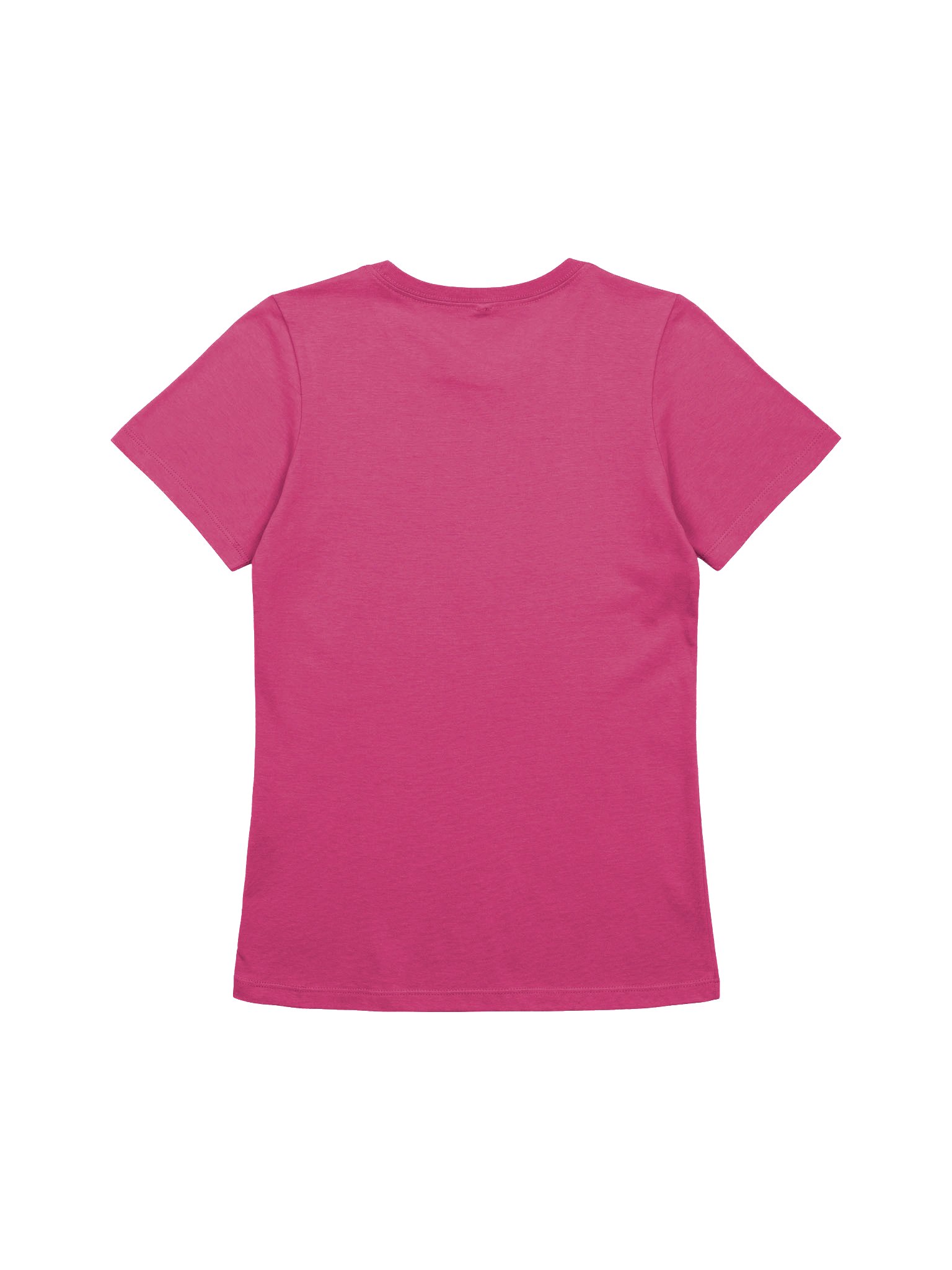 Gecko Tracks Women's Tee product image (8)