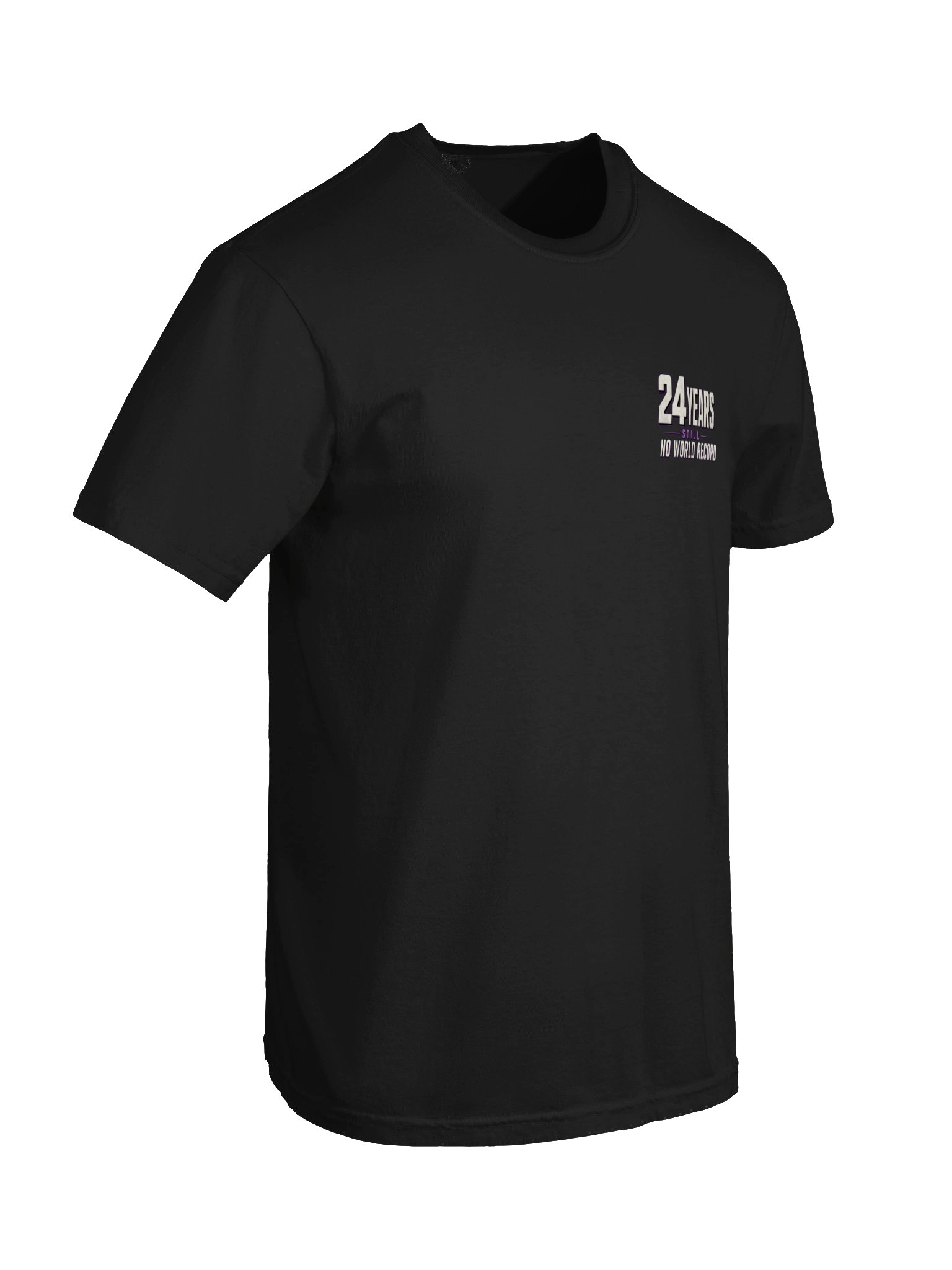 24 Years Still No World Record Tee product image (6)