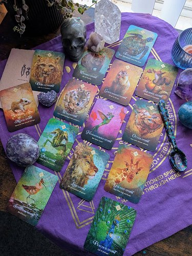 ✨🌕 New Moon Stardust Animals Sneak Peek 🌕✨

Stardust Animals for 2026
🌐Collective - Turtle
♈Aries - Dove
♉Taurus - Nightingal...