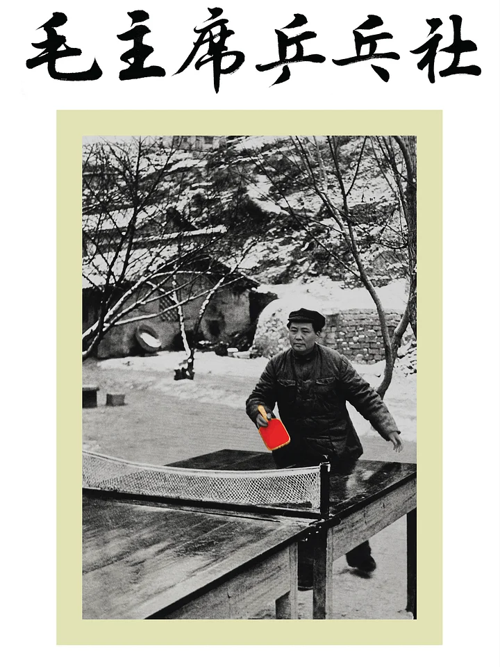 Ping-Mao-Pong T-Shirt product image (2)
