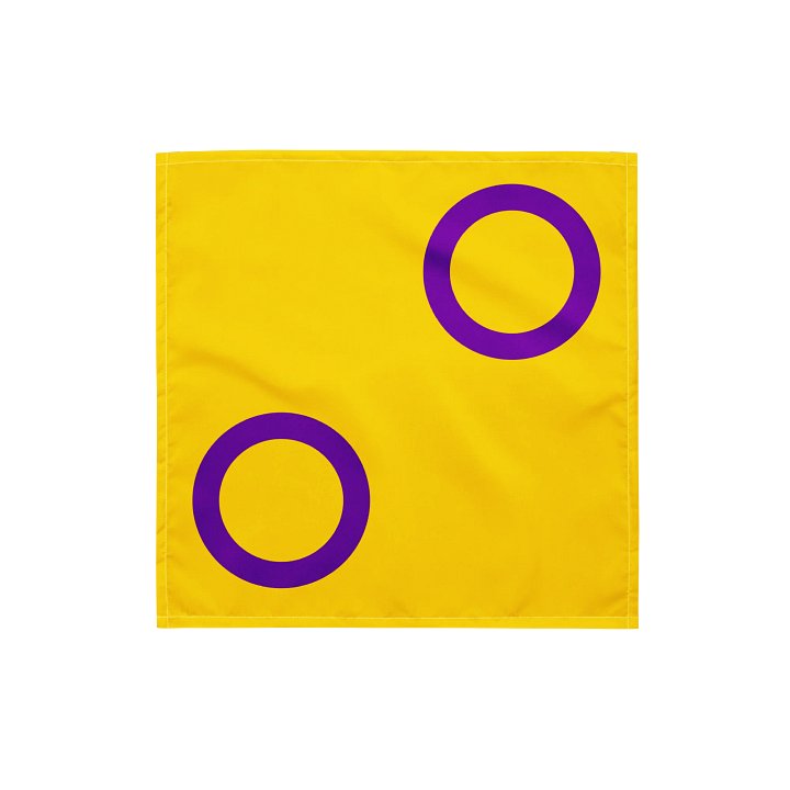 Intersex Pride Flag product image (1)
