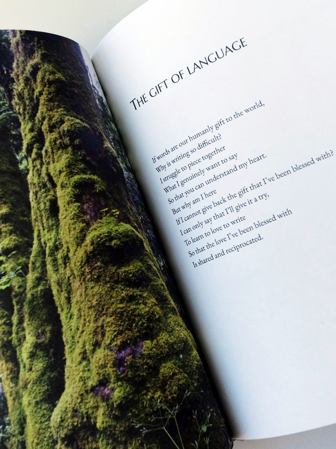 Poignant Landscapes (Hard Cover with Dust Jacket Edition) product image (3)
