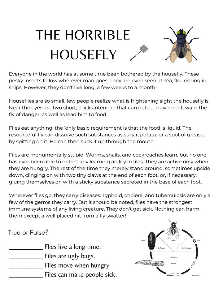 The Housefly. Video Lesson. Reading Comprehension. product image (2)