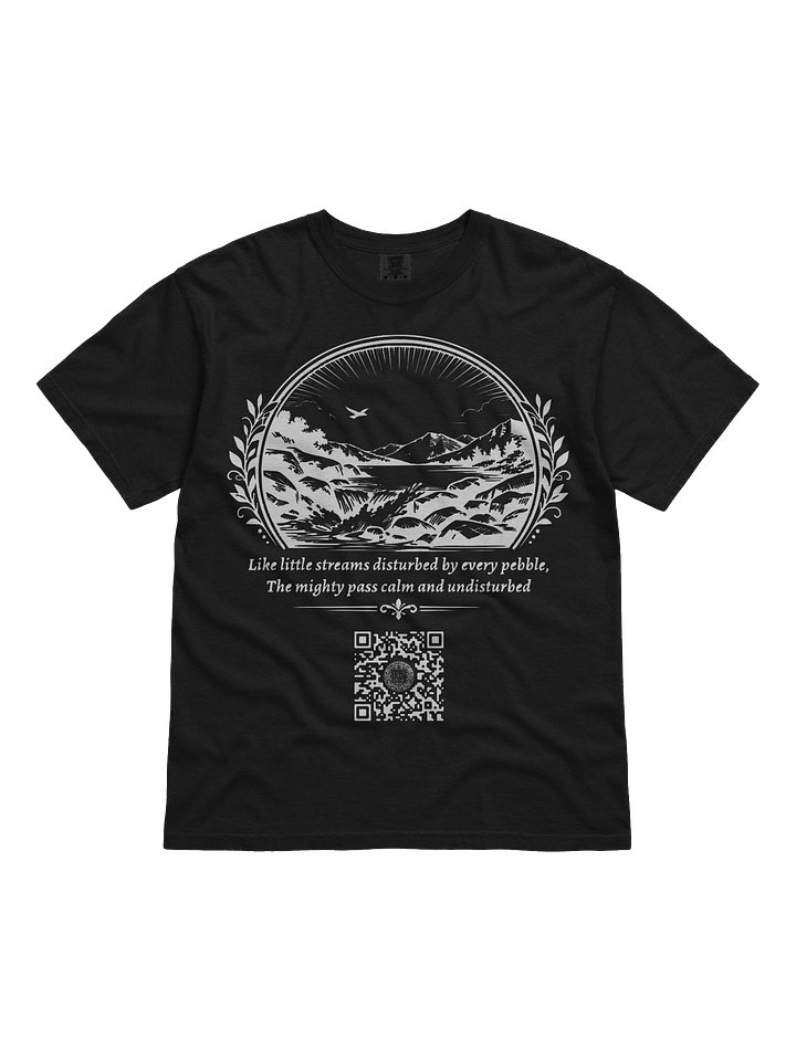 Small Disturbances (White on Black/Color) product image (1)