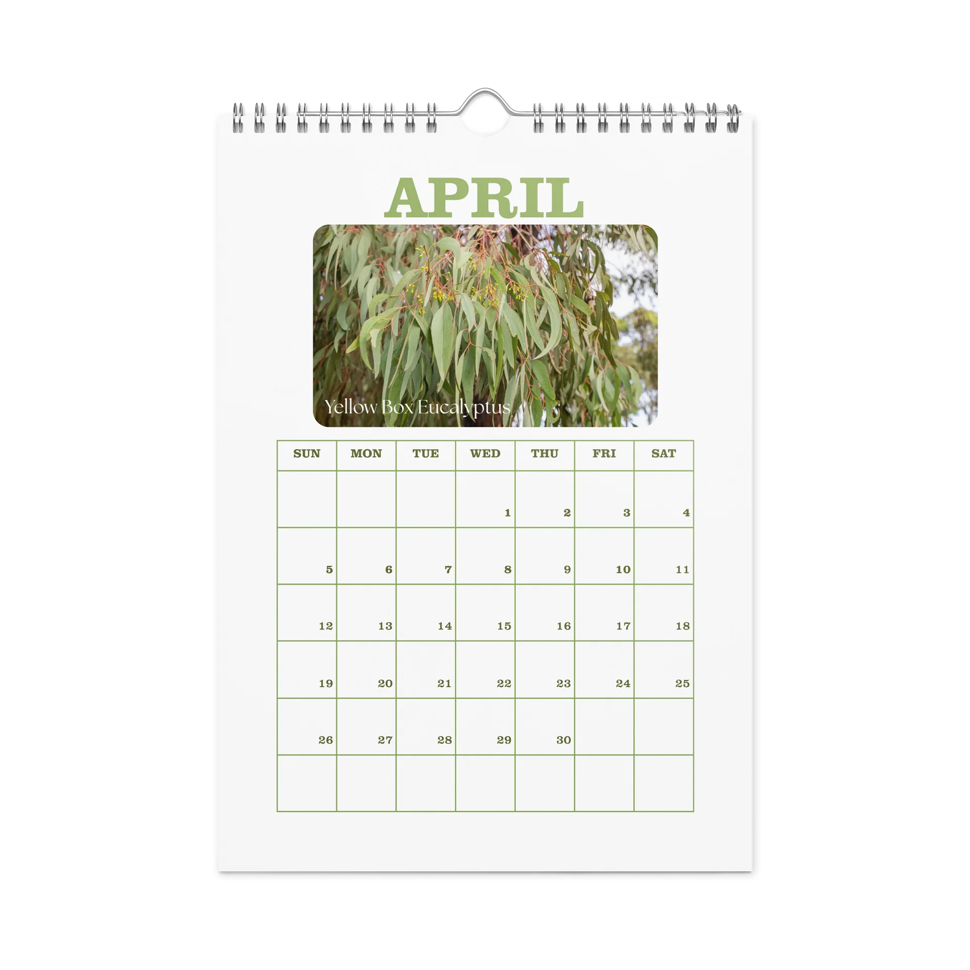 2027 - PRIDE WITH AUSTRALIAN NATIVE FLORA - Wall Calendar product image (1)
