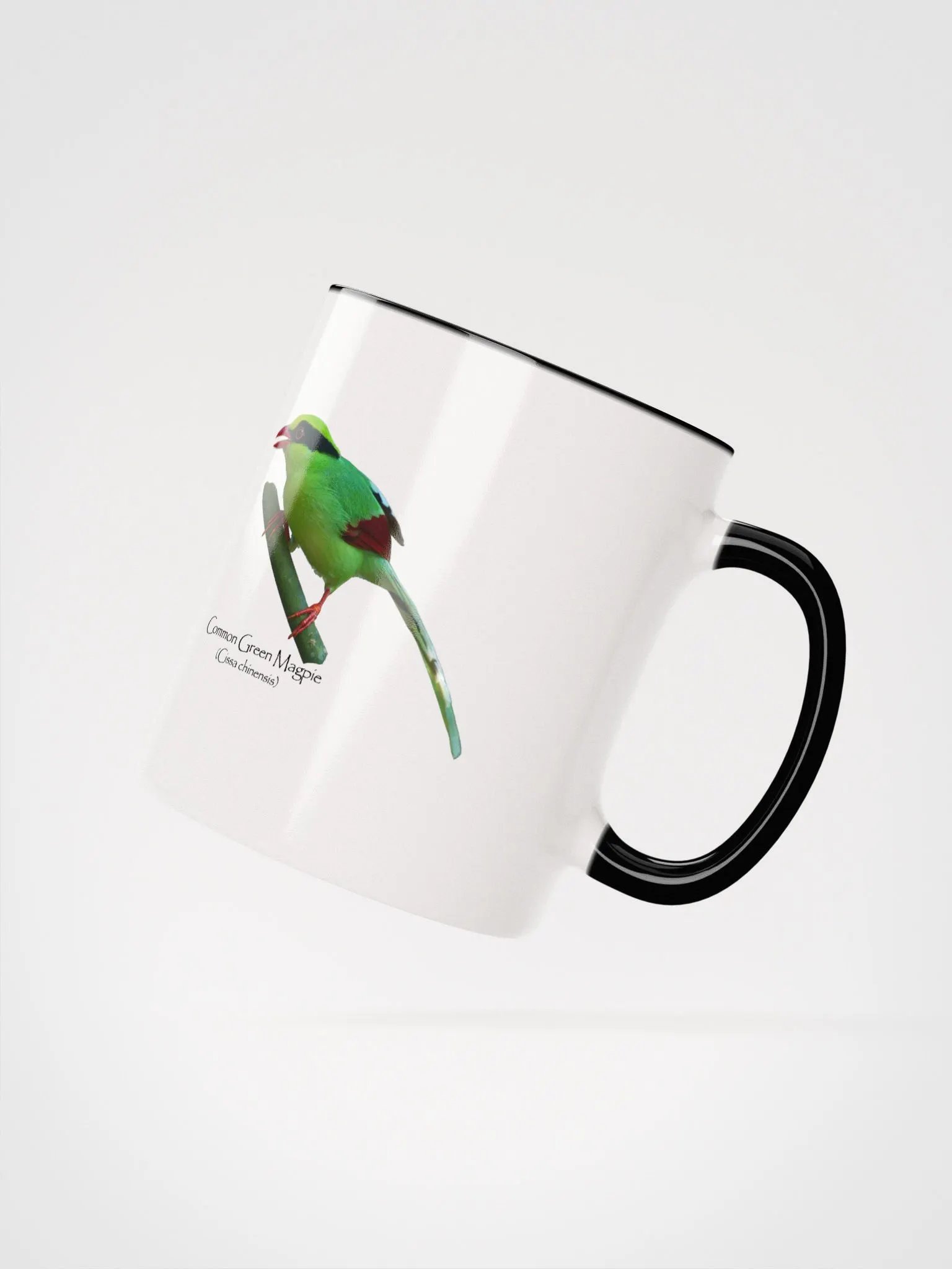 Common Green Magpie mug product image (20)