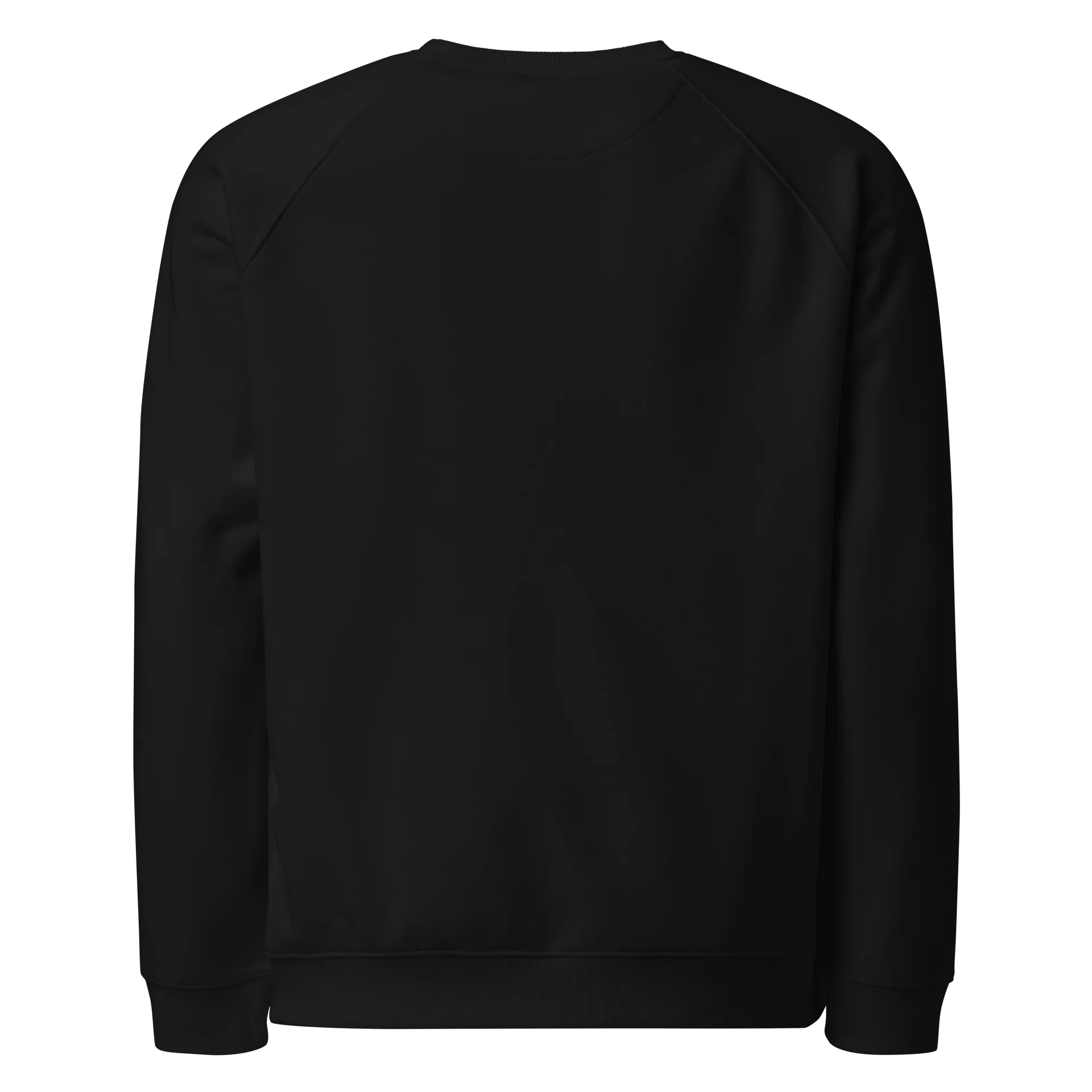 Absinthe Moon Unisex Raglan Sweatshirt Sketch Edition (Official Artist Merch) product image (3)