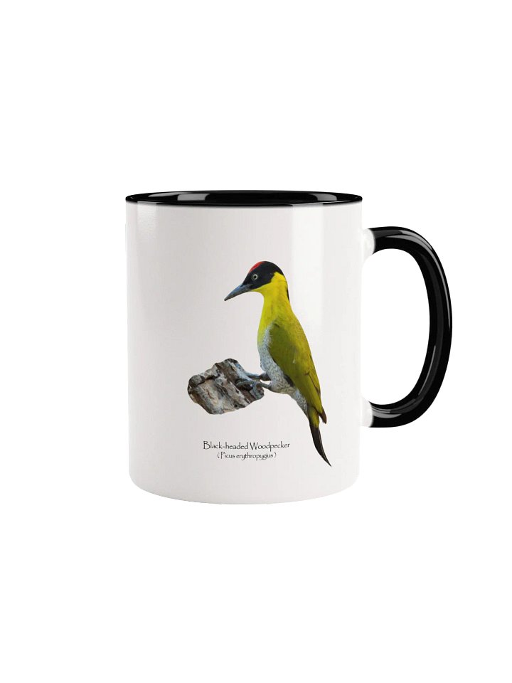 Black-headed Woodpecker mug product image (9)