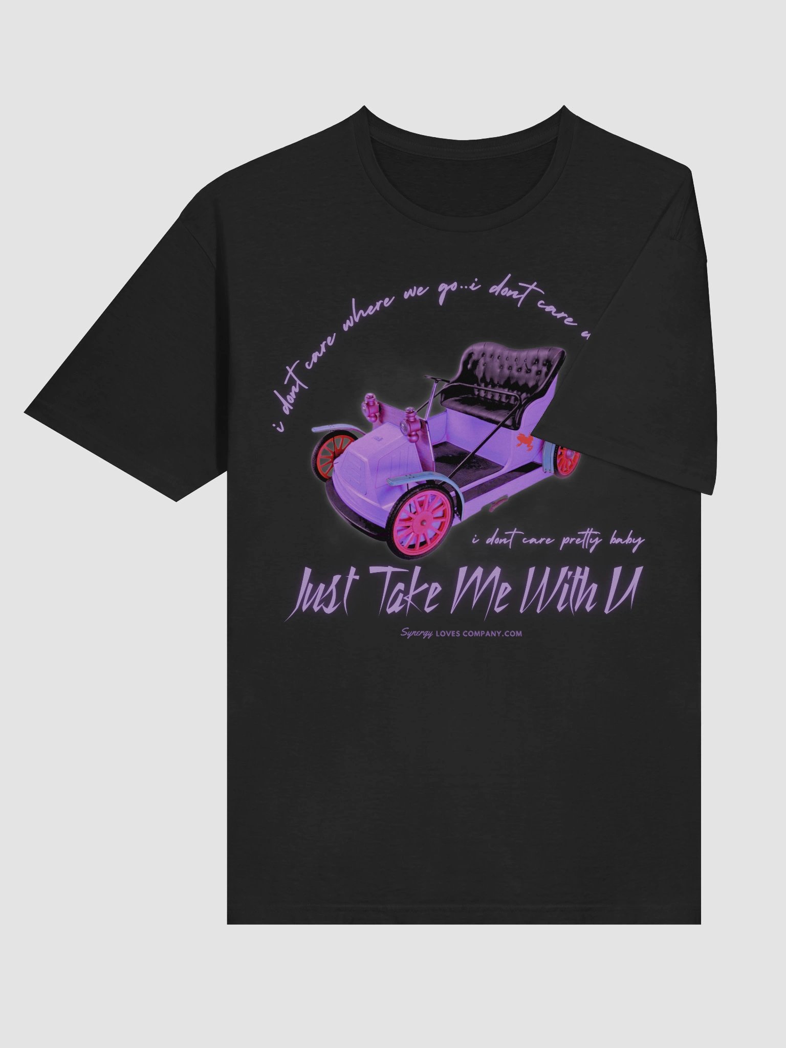 Take Me on a Wild Ride T-Shirt product image (6)