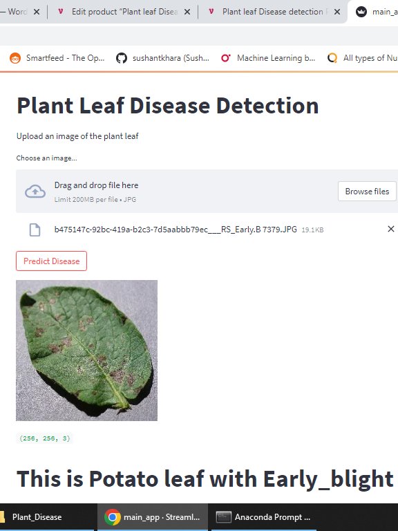 Plant leaf Disease detection Final Year Project with Streamlit App product image (8)
