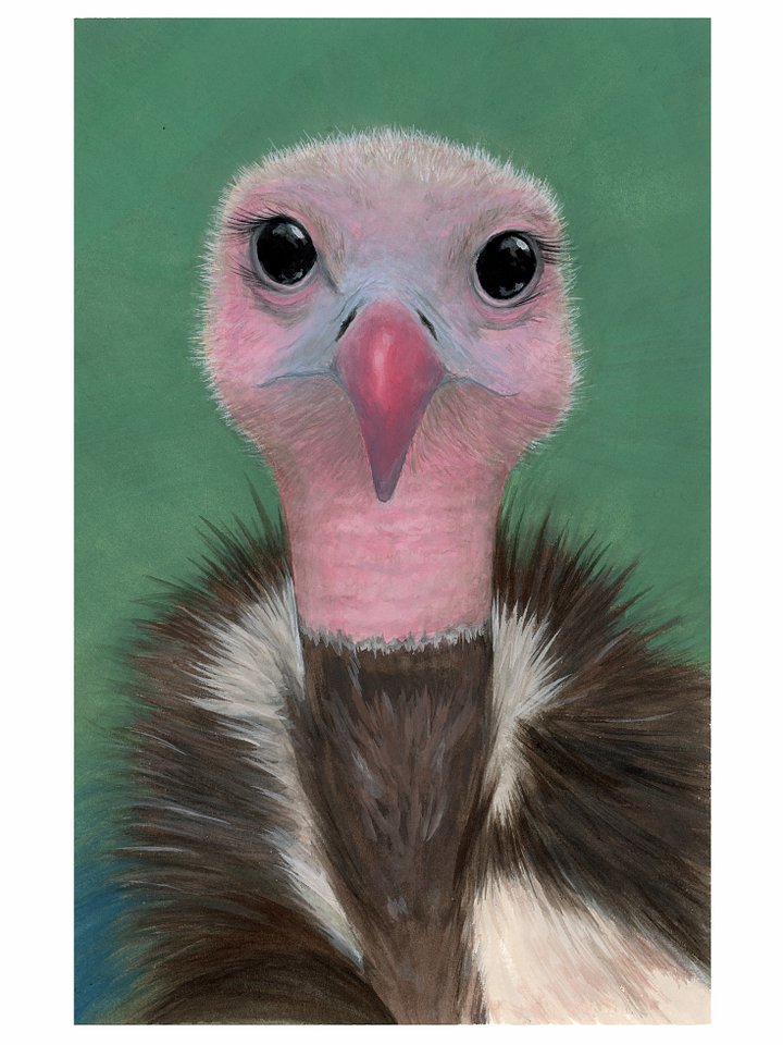 Herbie - giclée print product image (1)