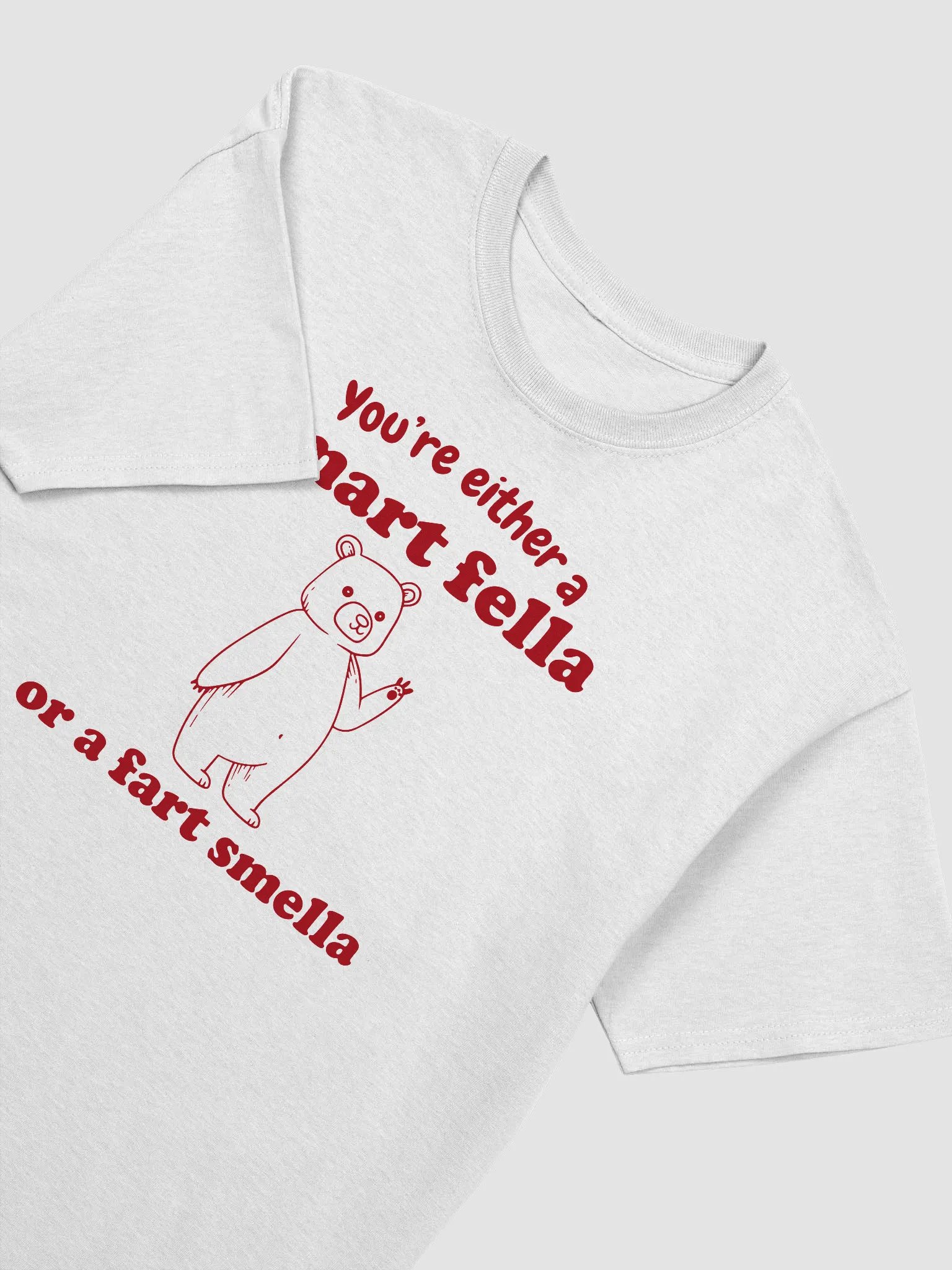 You're either a smart fella or a fart smella product image (3)