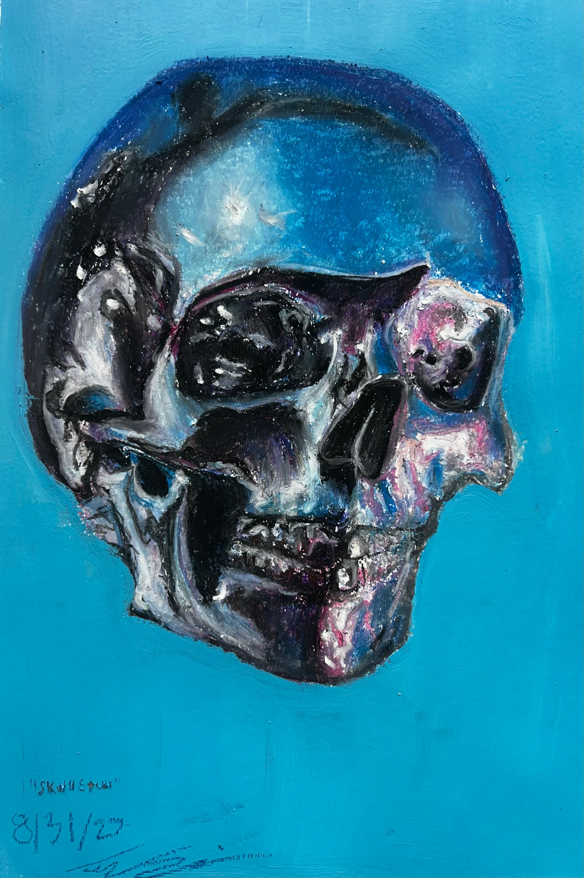 "Skull Study" product image (1)