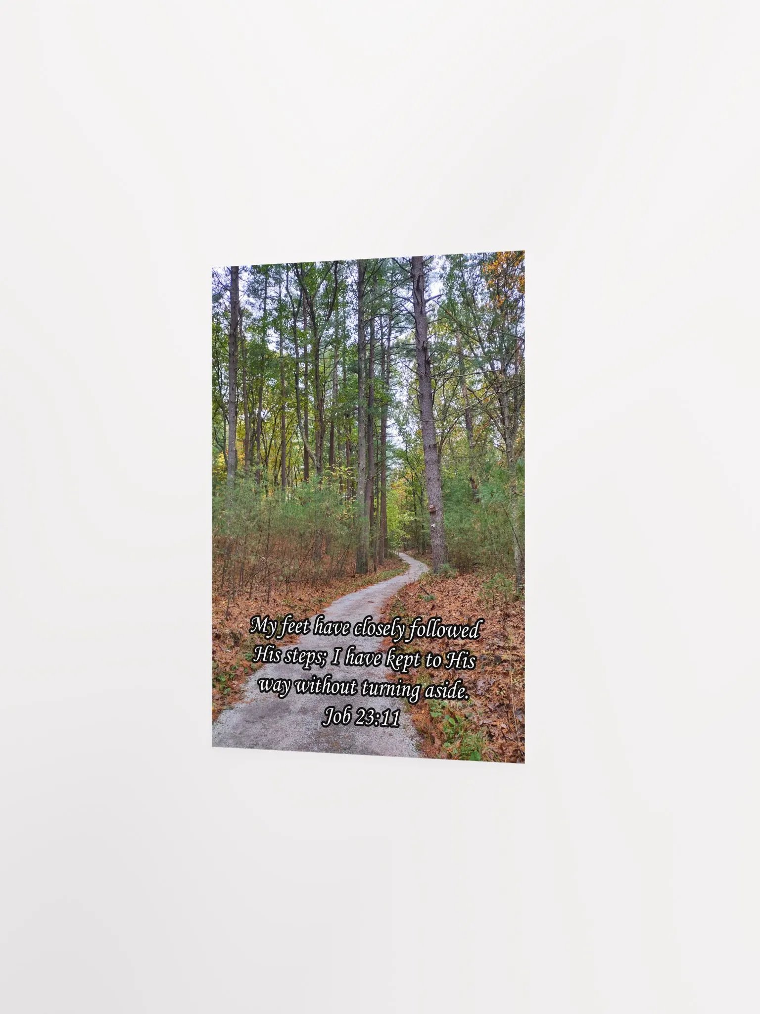 My Feet Have Followed His Steps - Print product image (4)