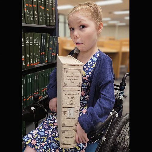 Check out this book we found on the 4th floor of the UGLi! We thought the first and second floors were pretty great...then we...