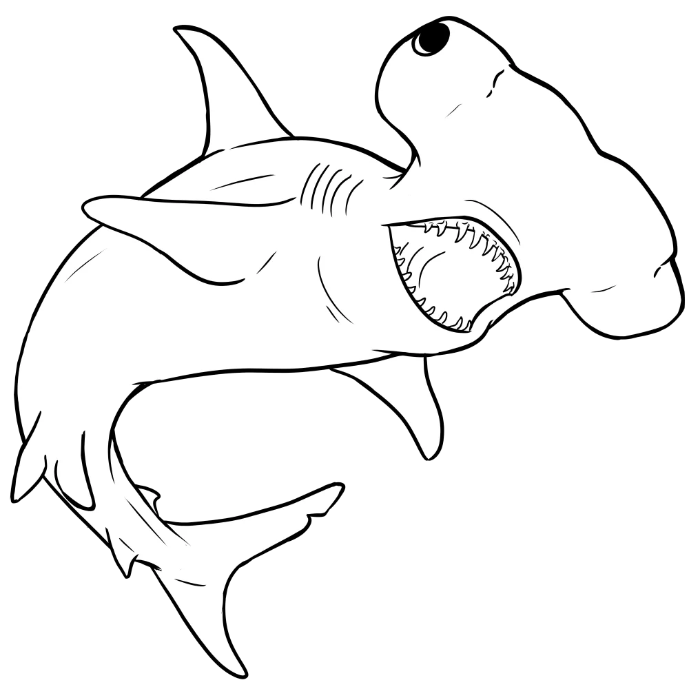 Hammerhead Coloring Pages product image (5)