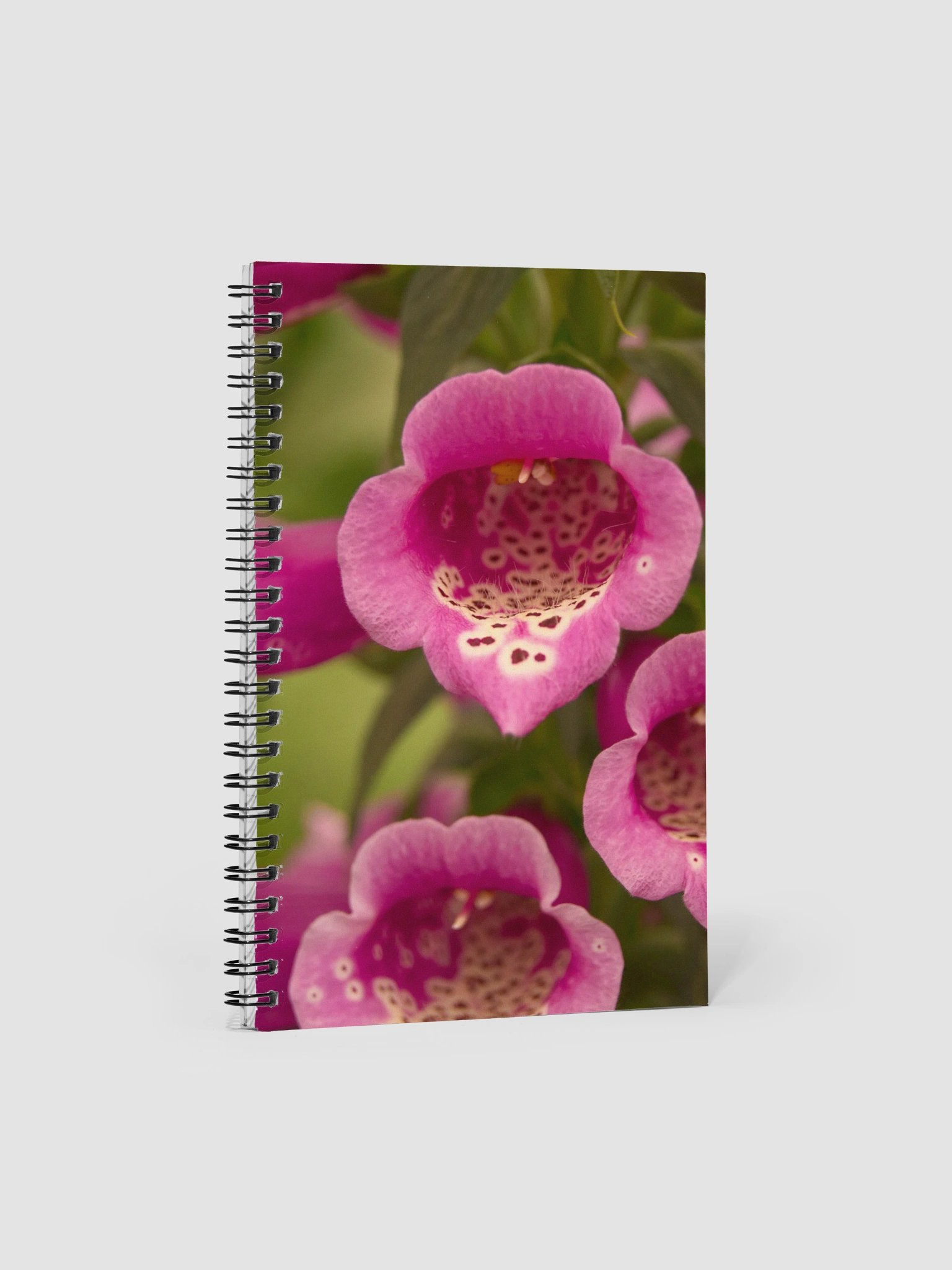 Foxglove Notebook product image (1)
