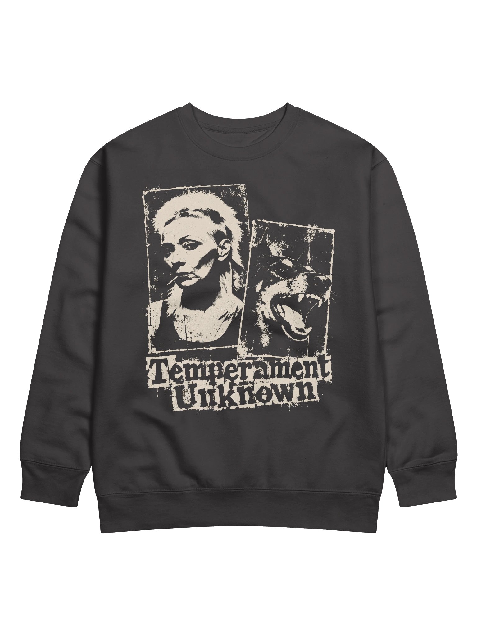 Temperament Unknown Premium Sweatshirt product image (11)
